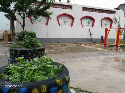 院落环境