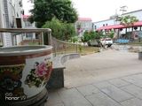 花园环境